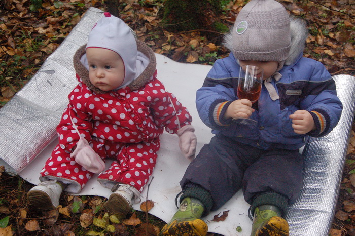 Школьный поход