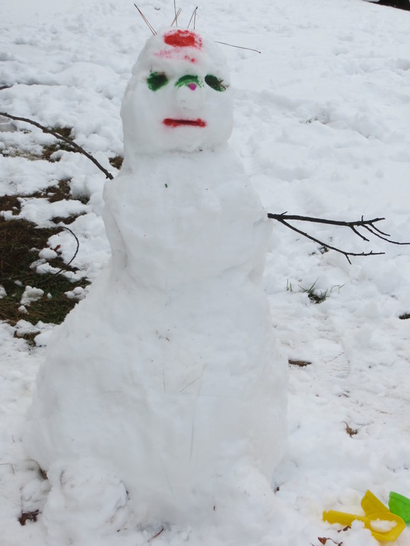 Снежный день