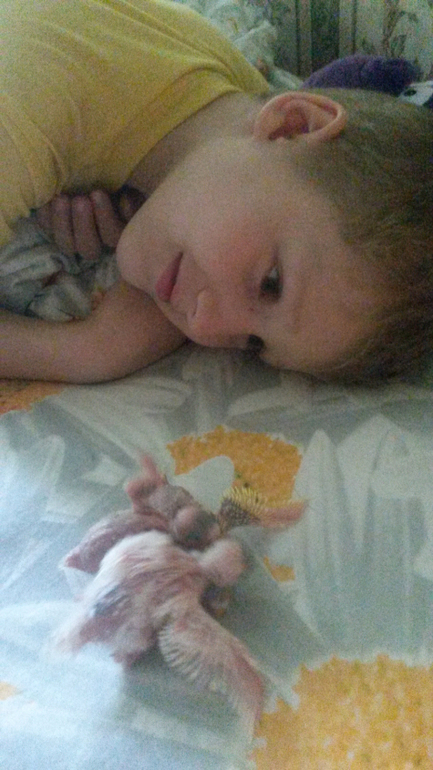 Давно не писала, растем