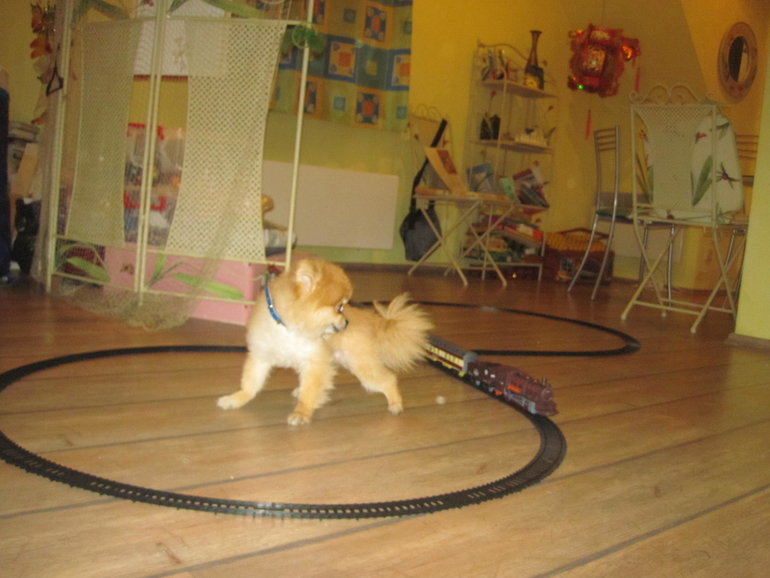 Железная дорога