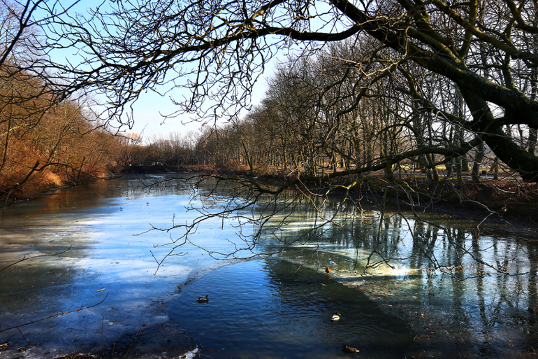 Калининград. Февраль 2014 года. Отчет :)