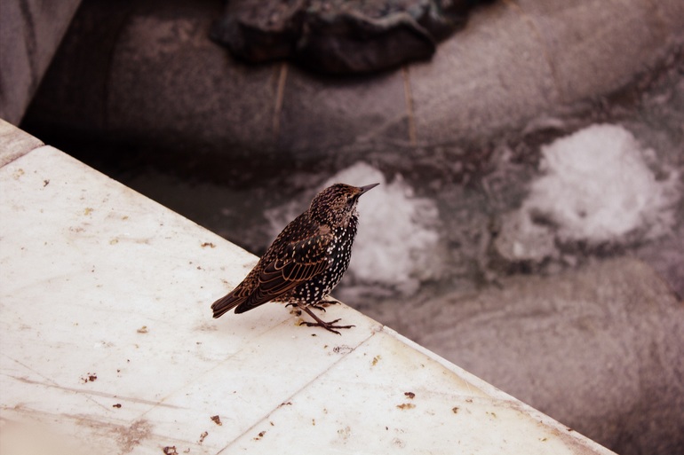 Прогулка по центру Москвы.