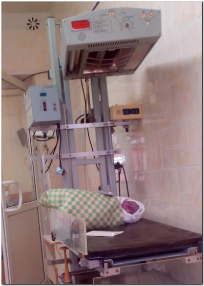 Роддом: вторая маленькая жизнь