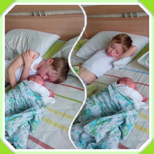 Сонное царство