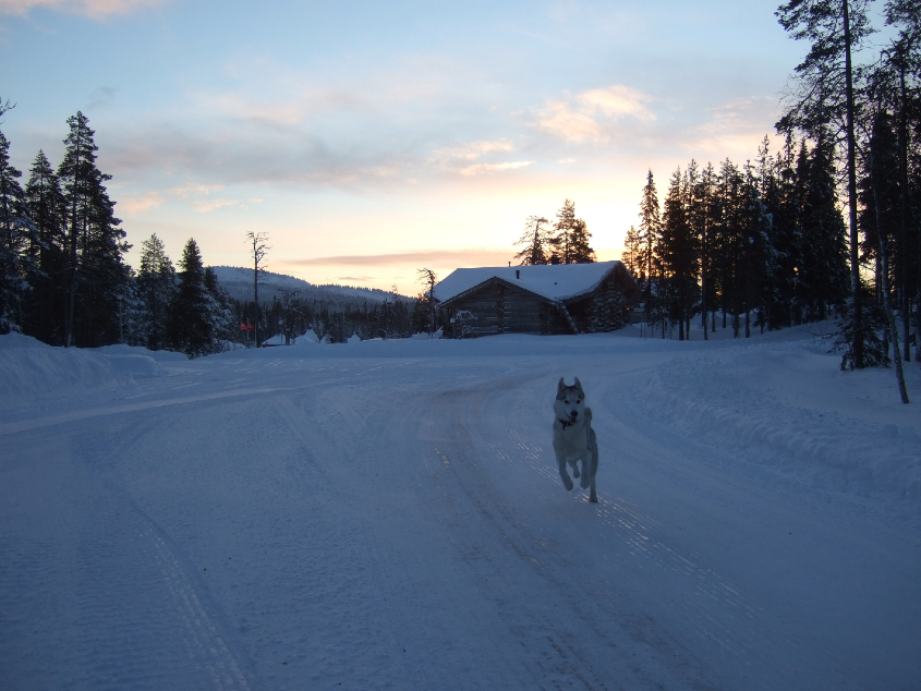 Наш январь. Часть 3