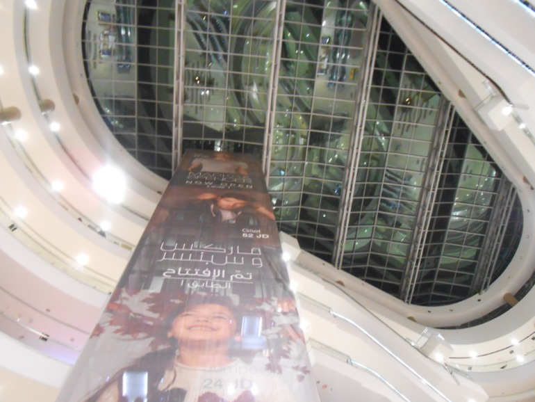 бараны и овцы , амман