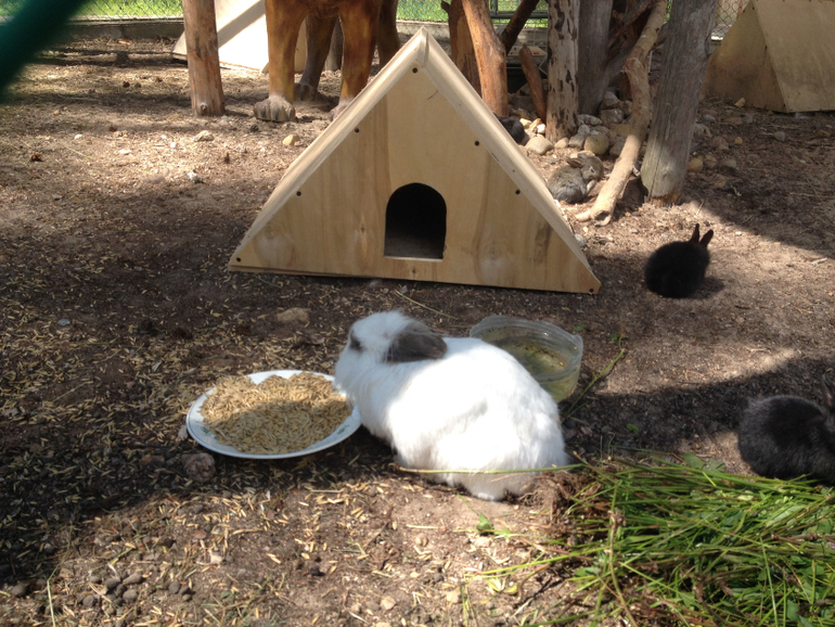 Выходные в семь озер