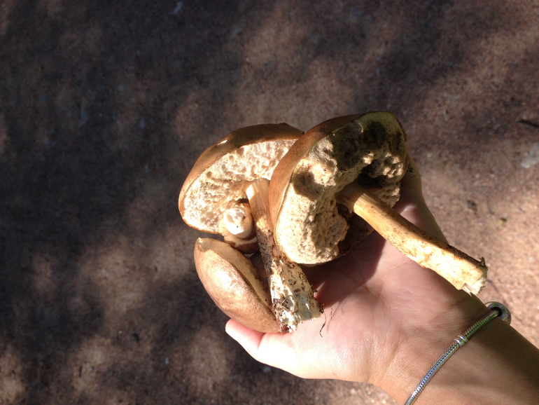 Выходные в семь озер