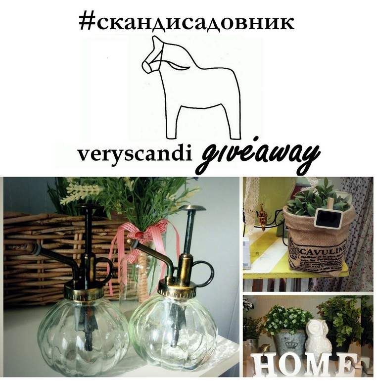 Розыгрыш СКАНДИСАДОВНИК