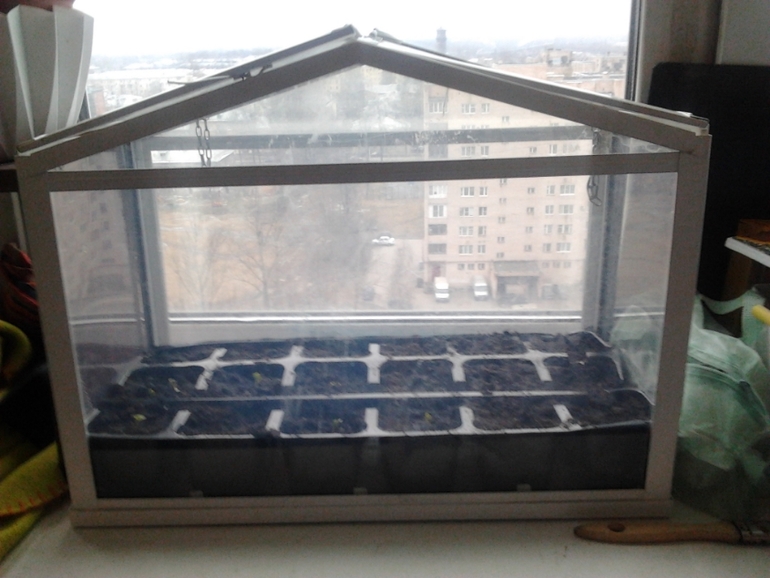 весна на окошке