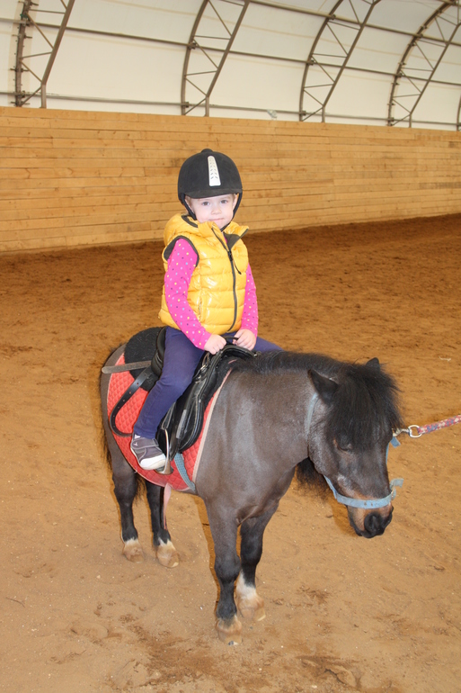 В гости к мини лошадкам...