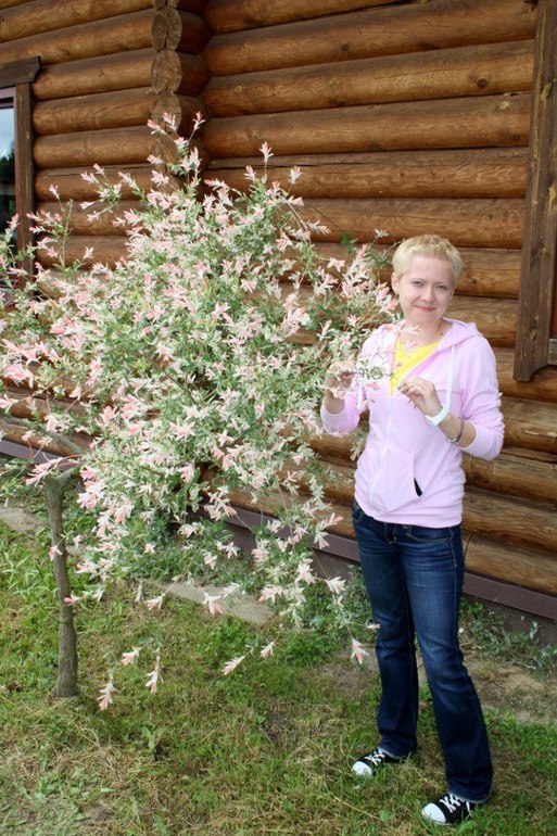 Автопутешествие в Беларусь, день 4