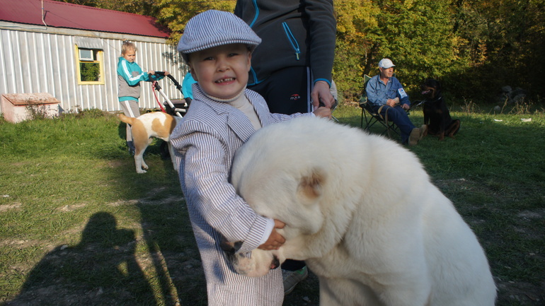 Ратмир юный хэндлер)