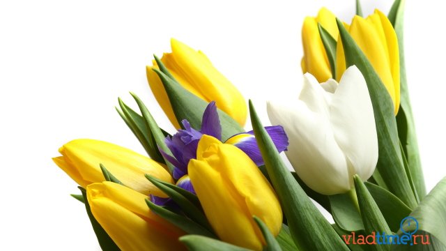 42905156fd98420cfe2be435c4295e72.jpg