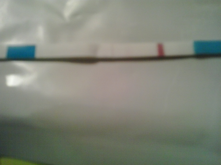 бэбичек врут?