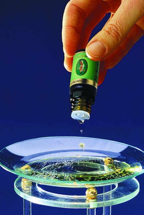 Безопасное средство от паутинного клеща.