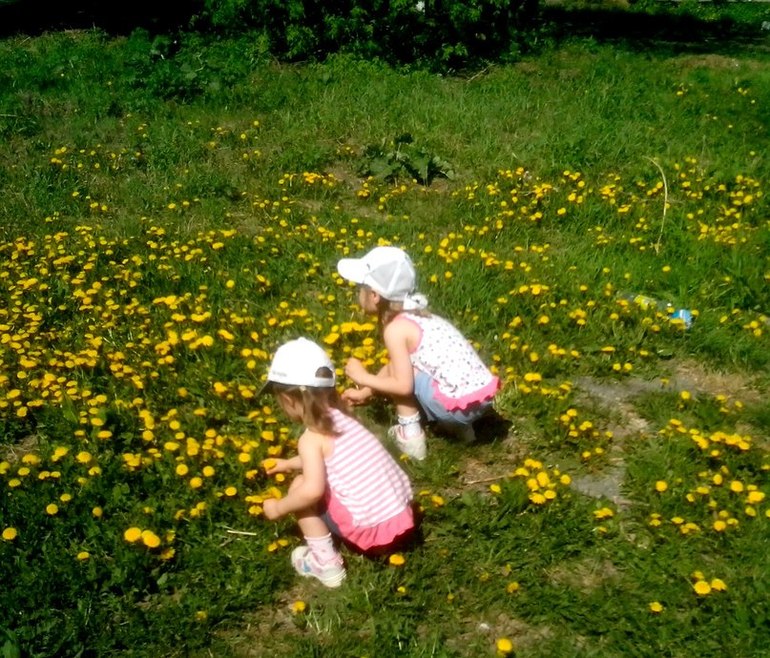 МОИ АМАЗОНКИ)))