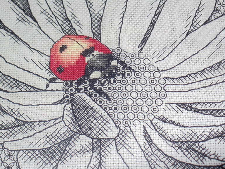 И снова БЭКСТИЧ!