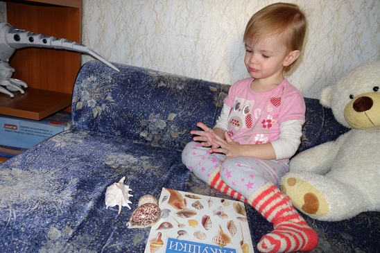 Лотерея 23. Ракушки.