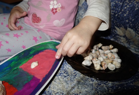 Лотерея 23. Ракушки.