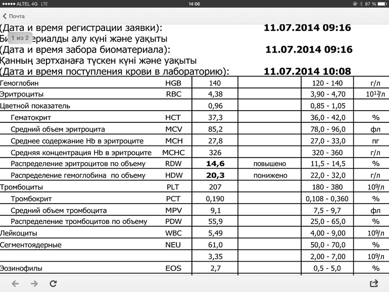 Проект ндв и пдв в чем разница