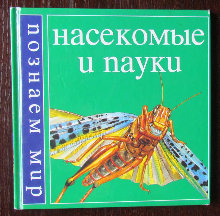 Маленький мир