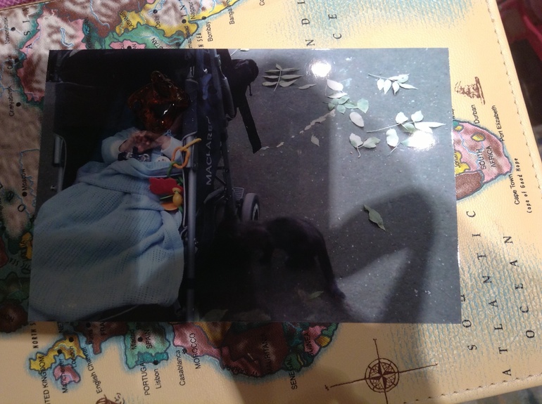 Мой мини список колясок.