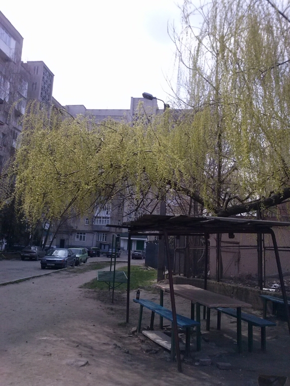 А за вікном...майже весна)))))))))