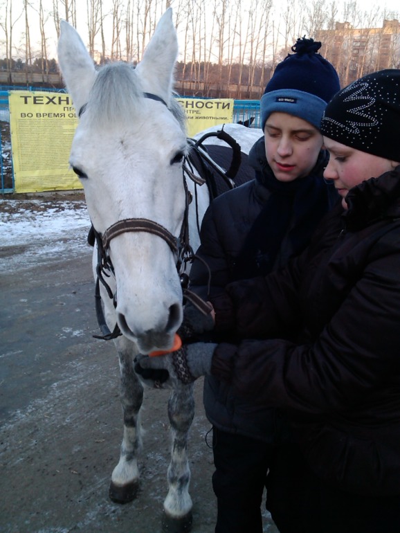 Иппотерапия