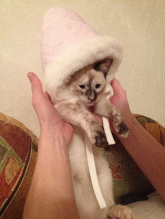 Покупки)