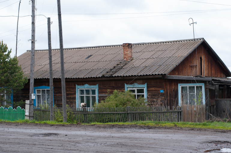 в деревне (фото)