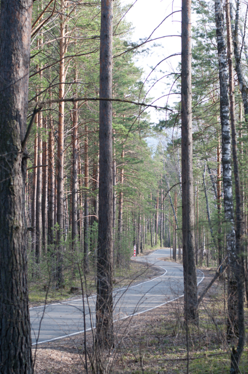 День 10 формирования привычек. фото