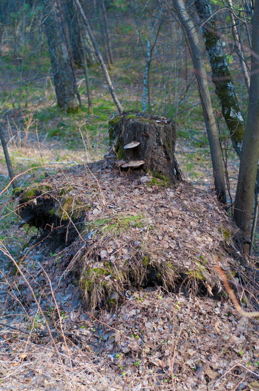 День 10 формирования привычек. фото