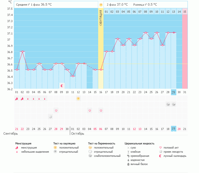 Мой беременный график))