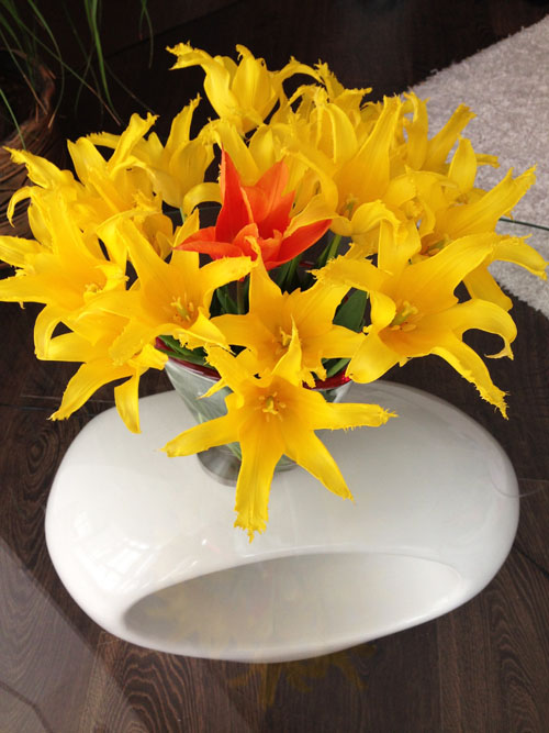 Вернулись в Сочи