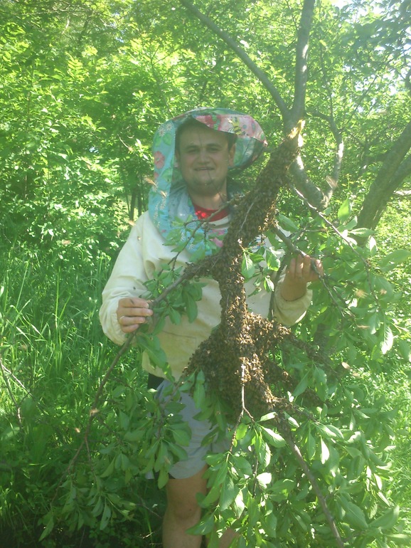Пол годика