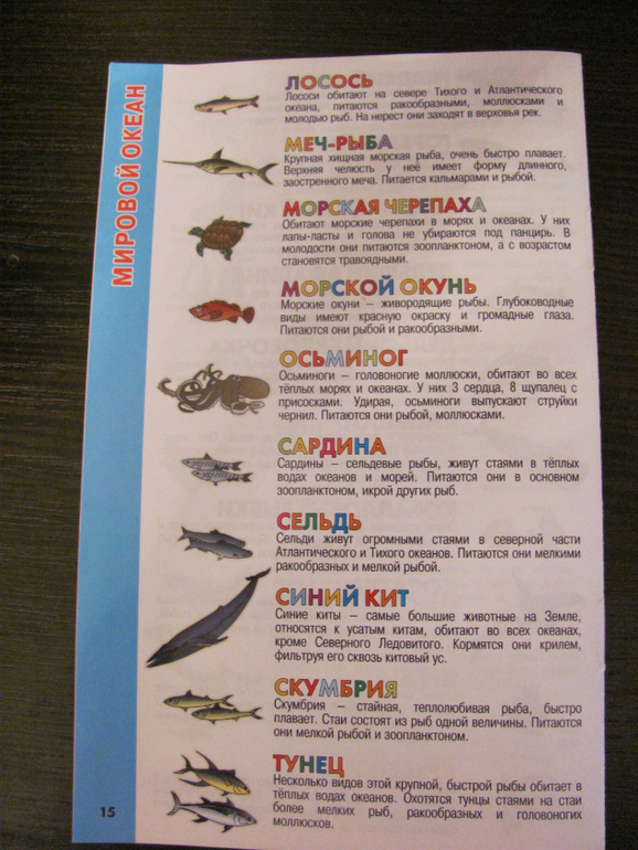 Глобус для первого знакомства с миром