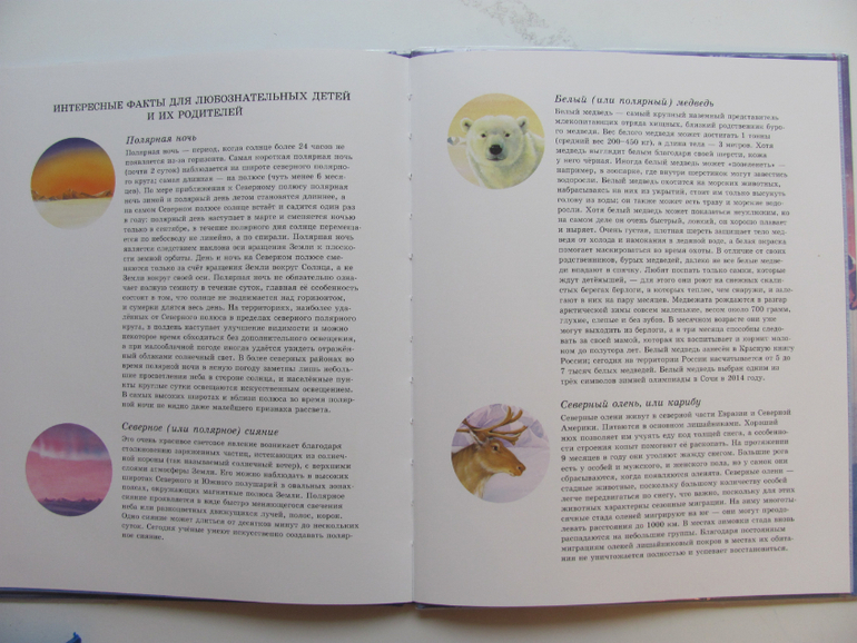 Как медвежонок солнце искал - первая книга о солнце