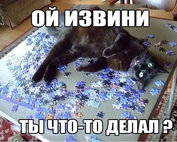 0b7d4d68e5af908054d727d210a99820.jpg
