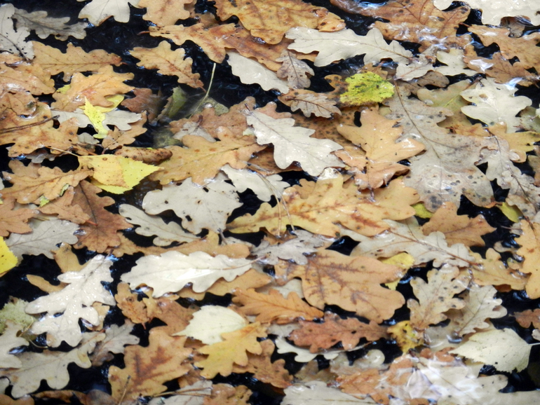 Посвящение доченьке