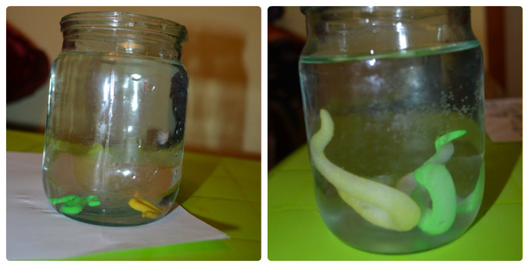 ТН Пустыня и немного Африки..