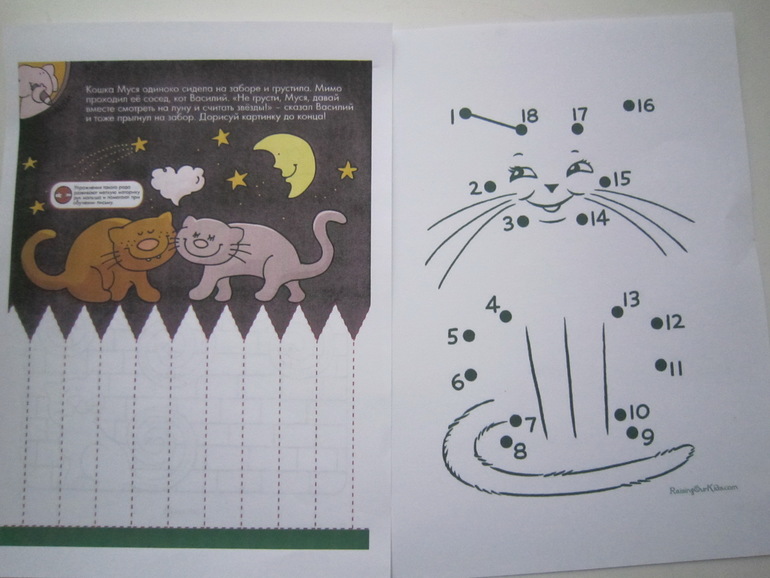 ТН Коты и кошечки