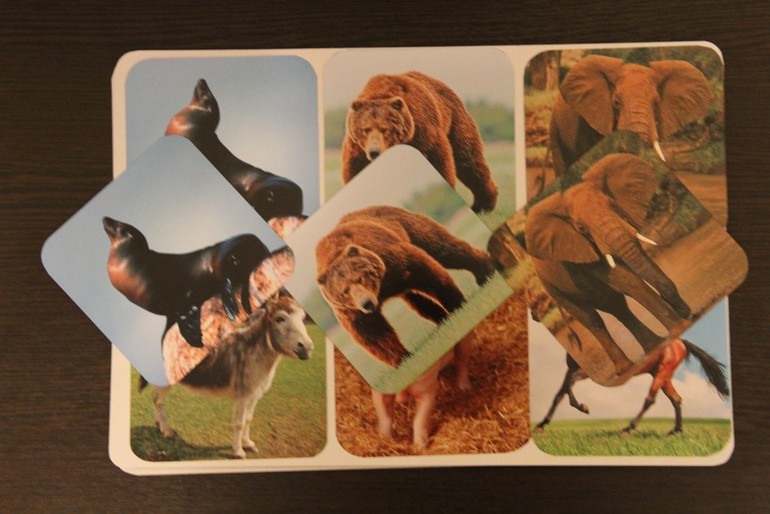 Музыкальное лото - животные)