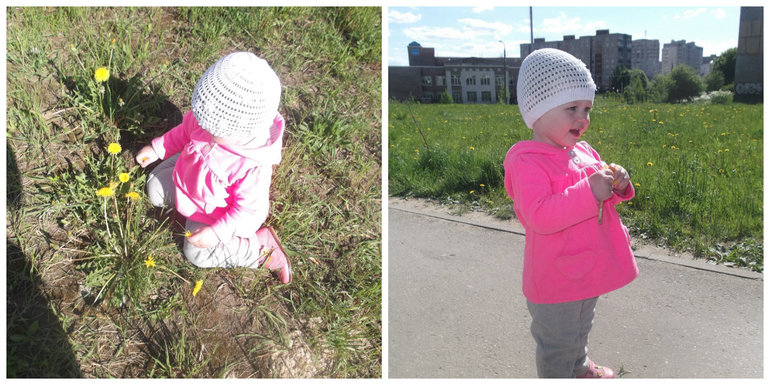 ТЗ Корова