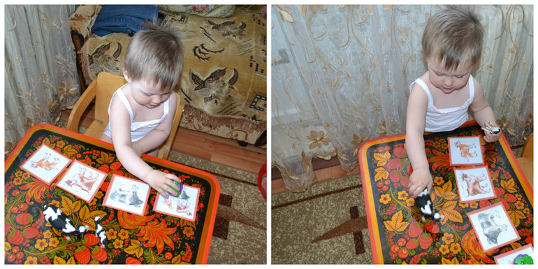 ТЗ Корова