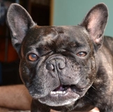 ИМЕНИННИЦЫ ღ ღ ღ 11 мая ღ ღ ღ !!!