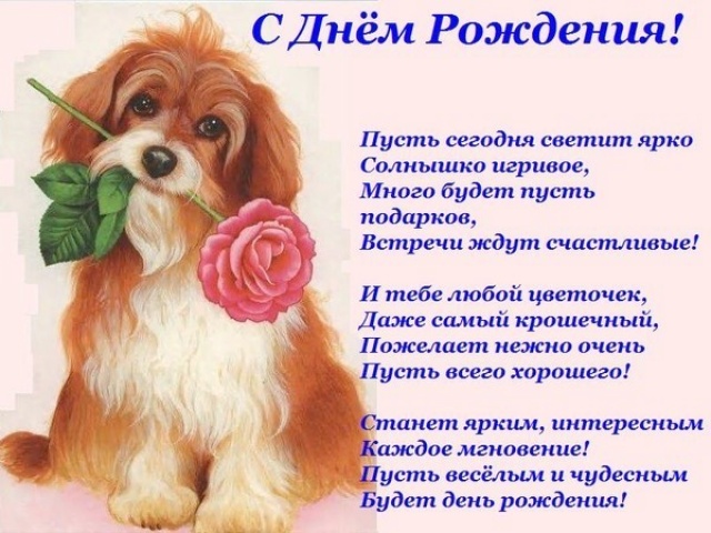 ИМЕНИННИЦЫ ღ ღ ღ 17 июня ღ ღ ღ !!!