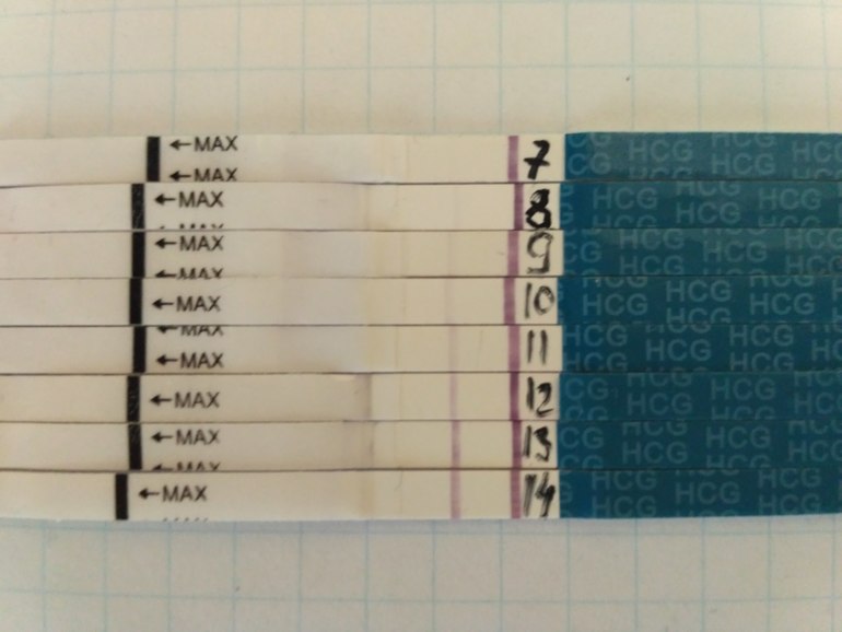 Тесты после переноса. Ощущения после укола хгч. Хгч при бхб. Хгч дпп. Таблица хгч по дням после переноса 3 дневных эмбрионов.