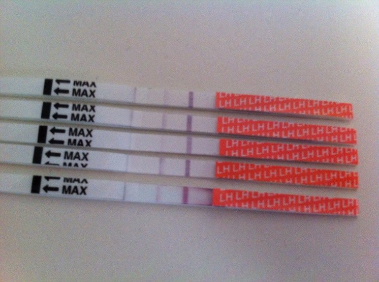 Я все жду овуляцию...