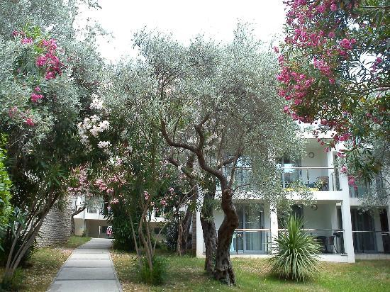 ЧЕРНОГОРИЯ. Петровац. Vile Oliva 3*